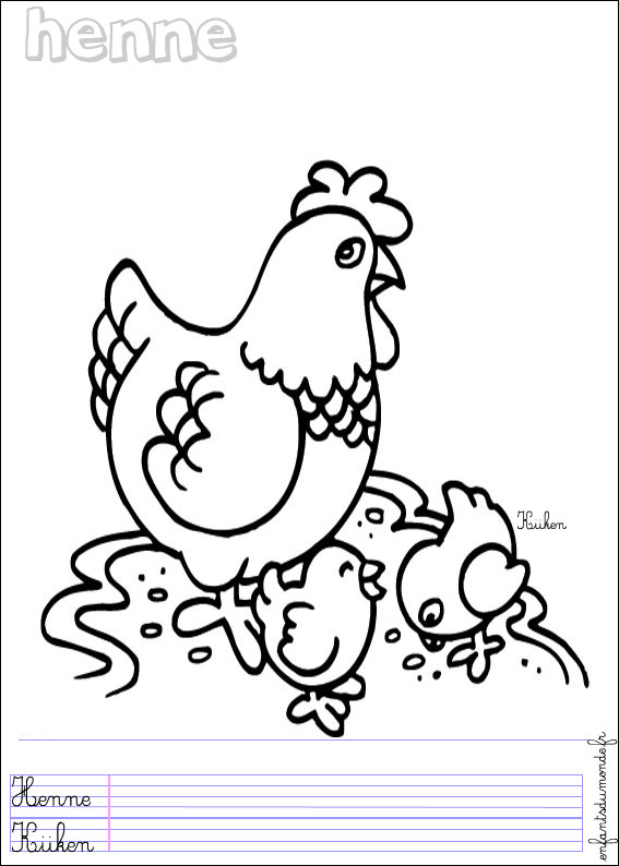 coloriage poule 2